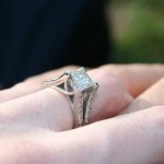 Ring_Champ_de_Mars_1